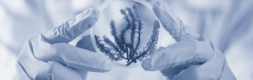 Two hands with laboratory gloves holding a glass jar with a plant inside