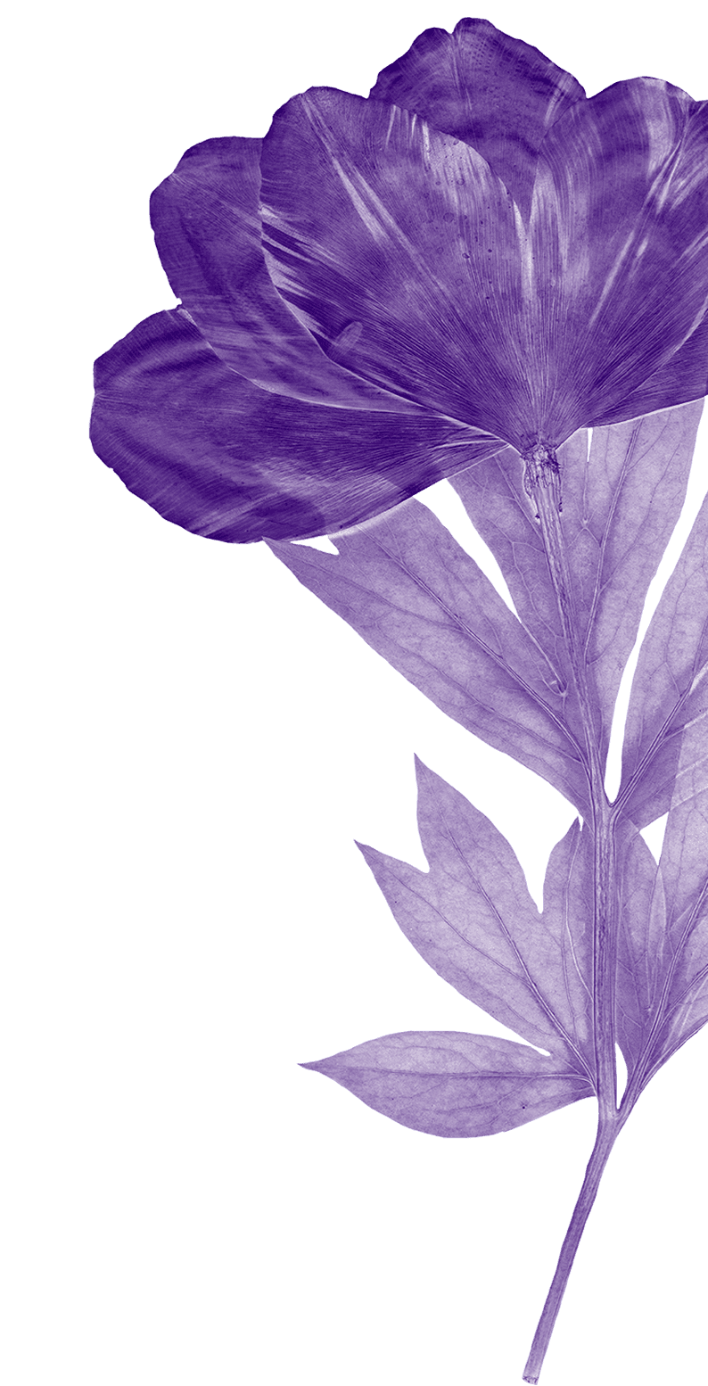 Big purple flower
