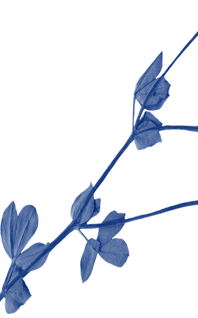 Blue flowers