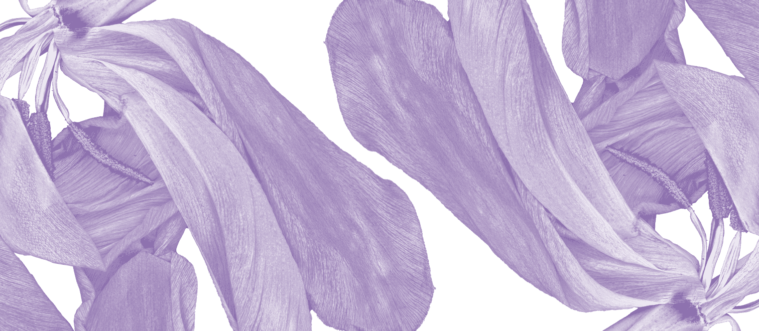 Big purple flowers